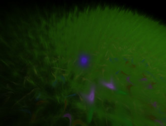 Similar image 21705207