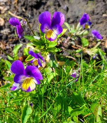 Similar image 21703780