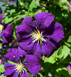 Similar image 21703789