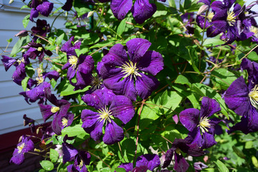 Similar image 21703790