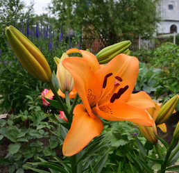 Similar image 21703793