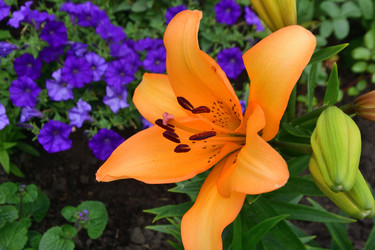 Similar image 21703794