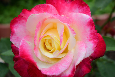 Similar image 21703795