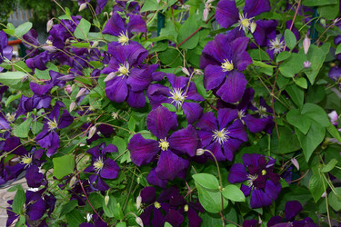 Similar image 21703797