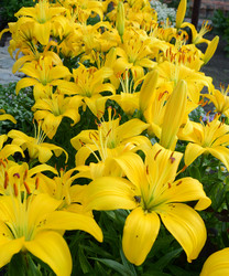 Similar image 21703798