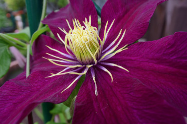 Similar image 21703799