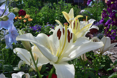 Similar image 21703800