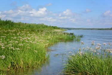 Similar image 21703801