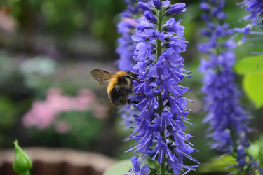 Similar image 21703802