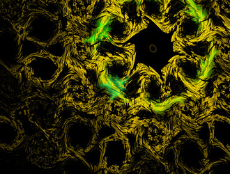 Similar image 21705257