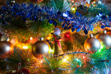 Similar image 21703812