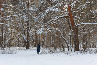 Similar image 21703816