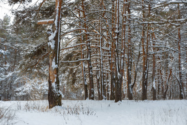 Similar image 21703818