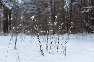 Similar image 21703819