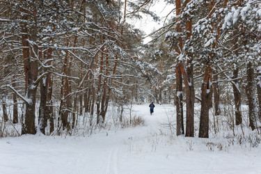 Similar image 21703820