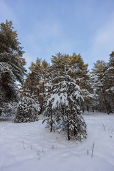 Similar image 21703823