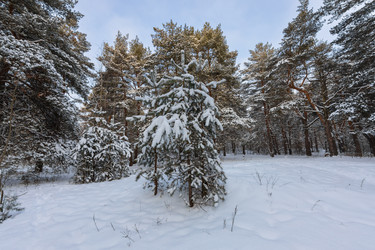 Similar image 21703824