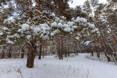 Similar image 21703825