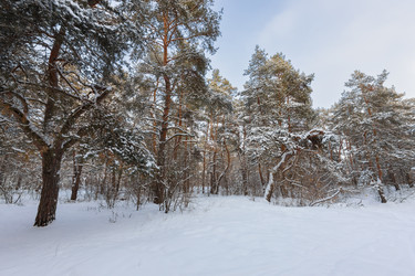 Similar image 21703826