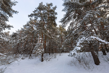 Similar image 21703828