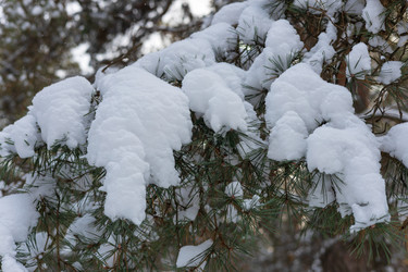 Similar image 21703829