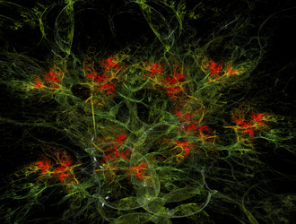 Similar image 21706216