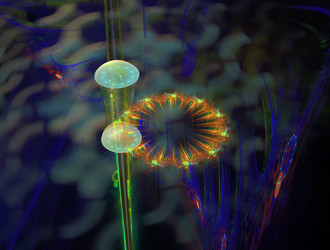 Similar image 21706238