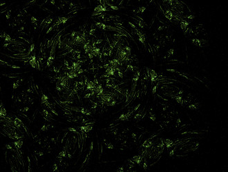 Similar image 21705063