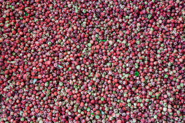 Similar image 21703835