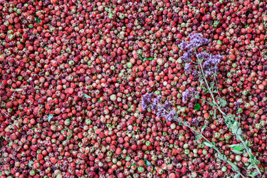 Similar image 21705422