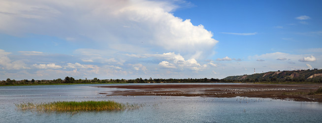 Similar image 21703838