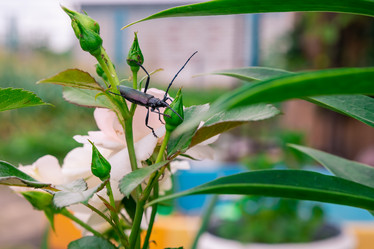 Similar image 21703841