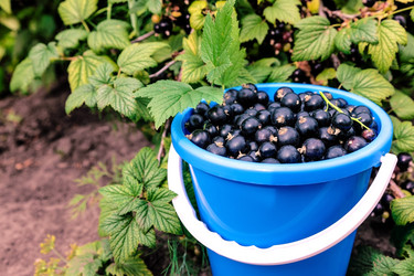 Similar image 21703843