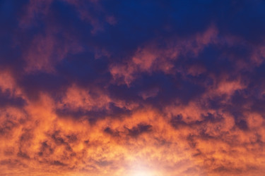 Similar image 21704618