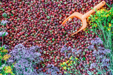 Similar image 21704619