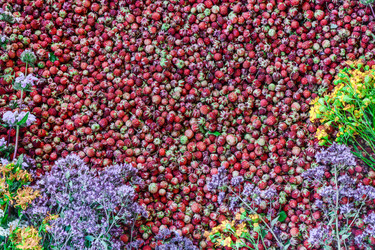 Similar image 21703844