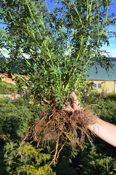 Similar image 21704624