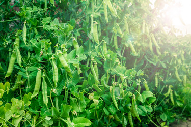 Similar image 21703848