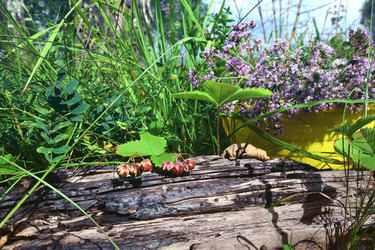 Similar image 21703849