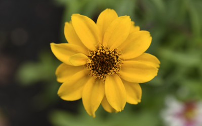 Similar image 21703933