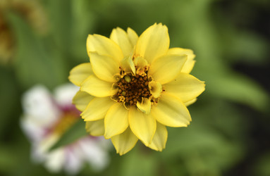 Similar image 21703934