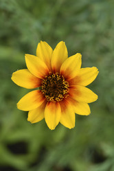 Similar image 21703940