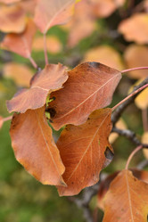 Similar image 21703944