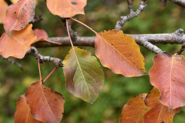 Similar image 21703945