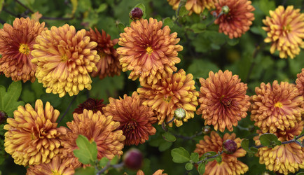 Similar image 21704017