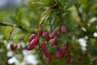 Similar image 21704021