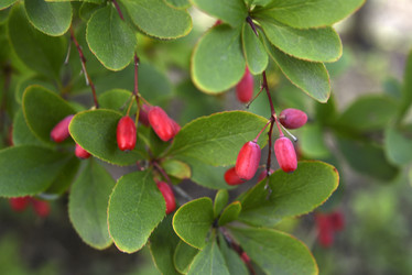 Similar image 21704022