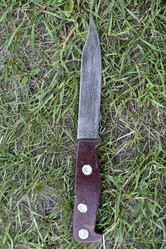 Similar image 21704452