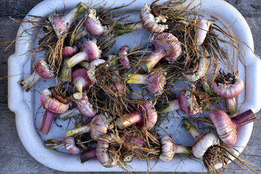 Similar image 21704453