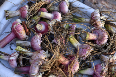 Similar image 21704456